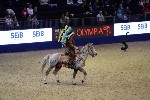 Quadrille - 00402